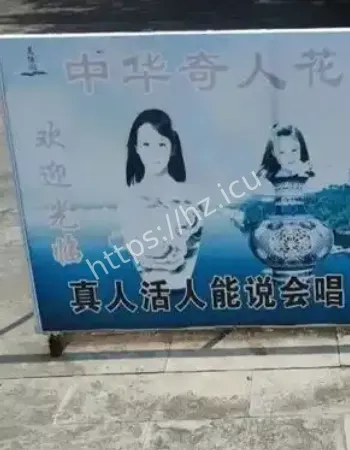 花瓶姑娘